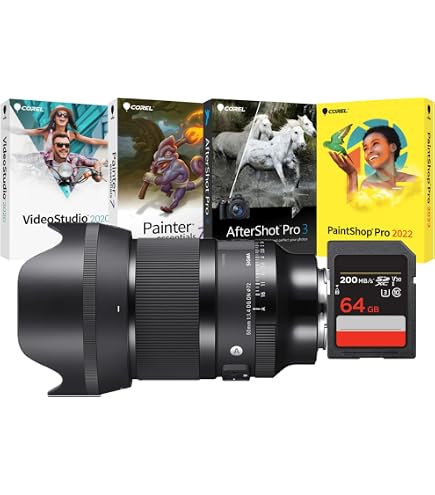 Amazon.com : Sigma 50mm F1.4 Art DG HSM Lens for L Mount : Electronics